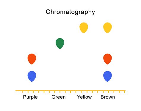 interpreting a chromatogram.